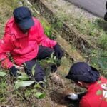 PERINGATI HARI OTDA DAN HARI BUMI, PMI KAB SUKABUMI DAN KOMUNITAS SEPATU CEKO HIJAUKAN LINGKAR UTARA 439342379 817772310384609 83407676869822220 n