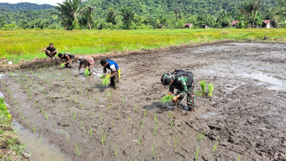Dukung Ketersediaan Pangan di Perbatasan, Satgas Yonif 310/KK Bantu Petani Garap dan Tanami Lahan 1 WhatsApp Image 2024 07 02 at 12.25.21