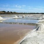 WhatsApp Image 2024 07 17 at 08.17.09