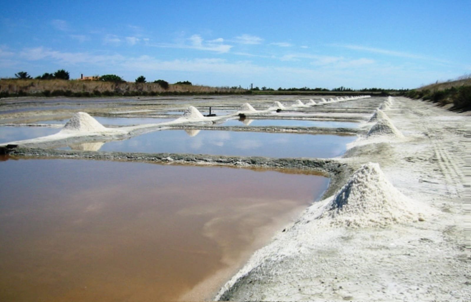 WhatsApp Image 2024 07 17 at 08.17.09