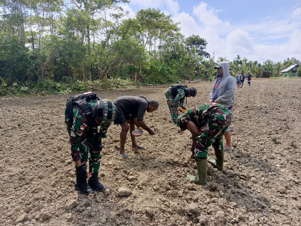 Semangat Swasembada Pangan, Satgas Yonif 310/KK Bersama Warga Perbatasan Tanam Bibit Jagung 1 WhatsApp Image 2024 07 28 at 10.38.00 6f93c27f