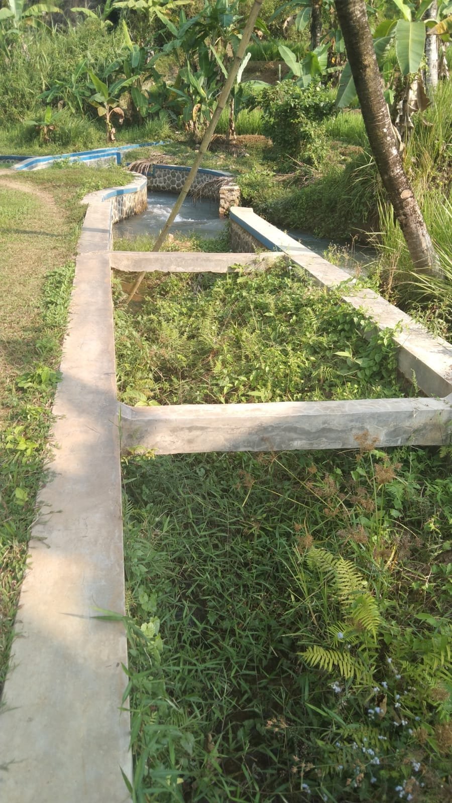 WhatsApp Image 2024 08 15 at 17.28.48