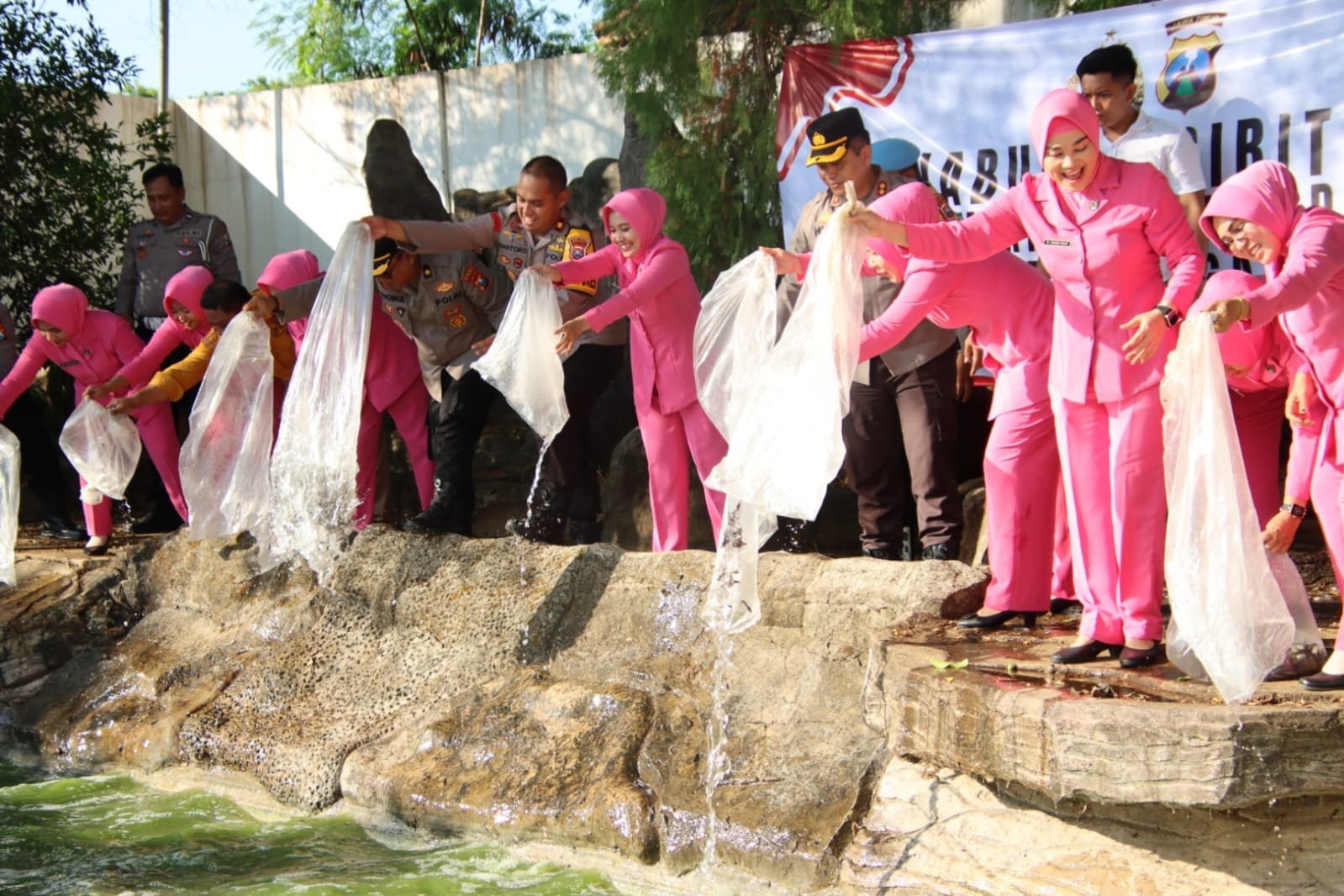 WhatsApp Image 2024 11 07 at 04.27.39