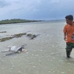 WhatsApp Image 2024 12 21 at 18.02.16