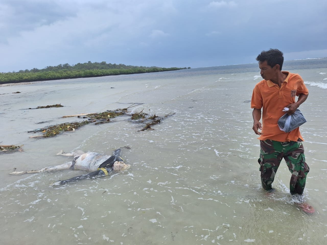Penemuan Mayat di Pinggir Pantai Dusun Tembang Desa Buddhi Kec. Arjasa Kab Sumenep. 1 WhatsApp Image 2024 12 21 at 18.02.16