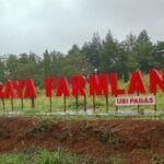 WhatsApp Image 2024 12 27 at 16.21.43