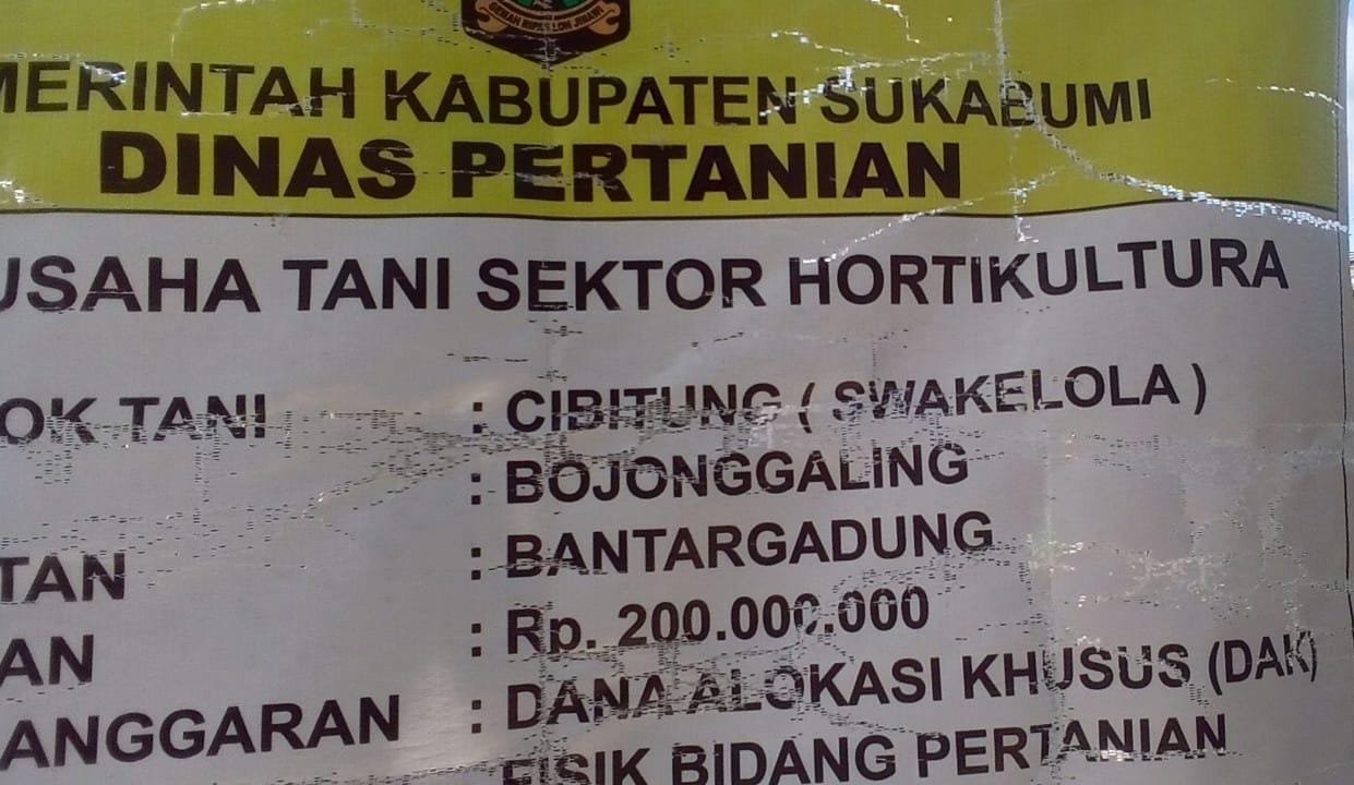 Pengerasan Jalan Usaha Tani di Desa Bojonggaling, Bantargadung: Meningkatkan Aksesibilitas dan Produktivitas Petani 1 WhatsApp Image 2025 01 17 at 19.48.21 1