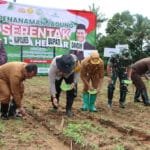 WhatsApp Image 2025 01 22 at 07.16.01