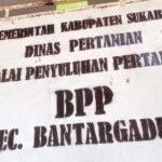 WhatsApp Image 2025 01 23 at 18.13.45 e1737634703873