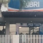 405aed8c 7858 4737 a7bc 1cce04b80c21