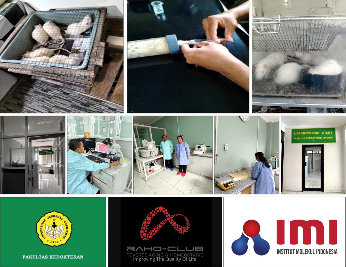 Terobosan Terapi Komplementer Teknologi Nano Kombinasi NO, Mg dan GNH 1 69815b85 9f91 4ac0 82b9 6496c98ee996