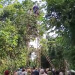 8ed4ace2 6567 49ae 8967 0ee081f3b766