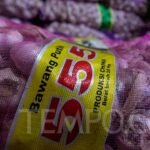 Kejaksaan Agung Telaah Laporan Dugaan Mafia Impor Bawang Putih, Tindak Lanjut Dalam Proses 913141 720