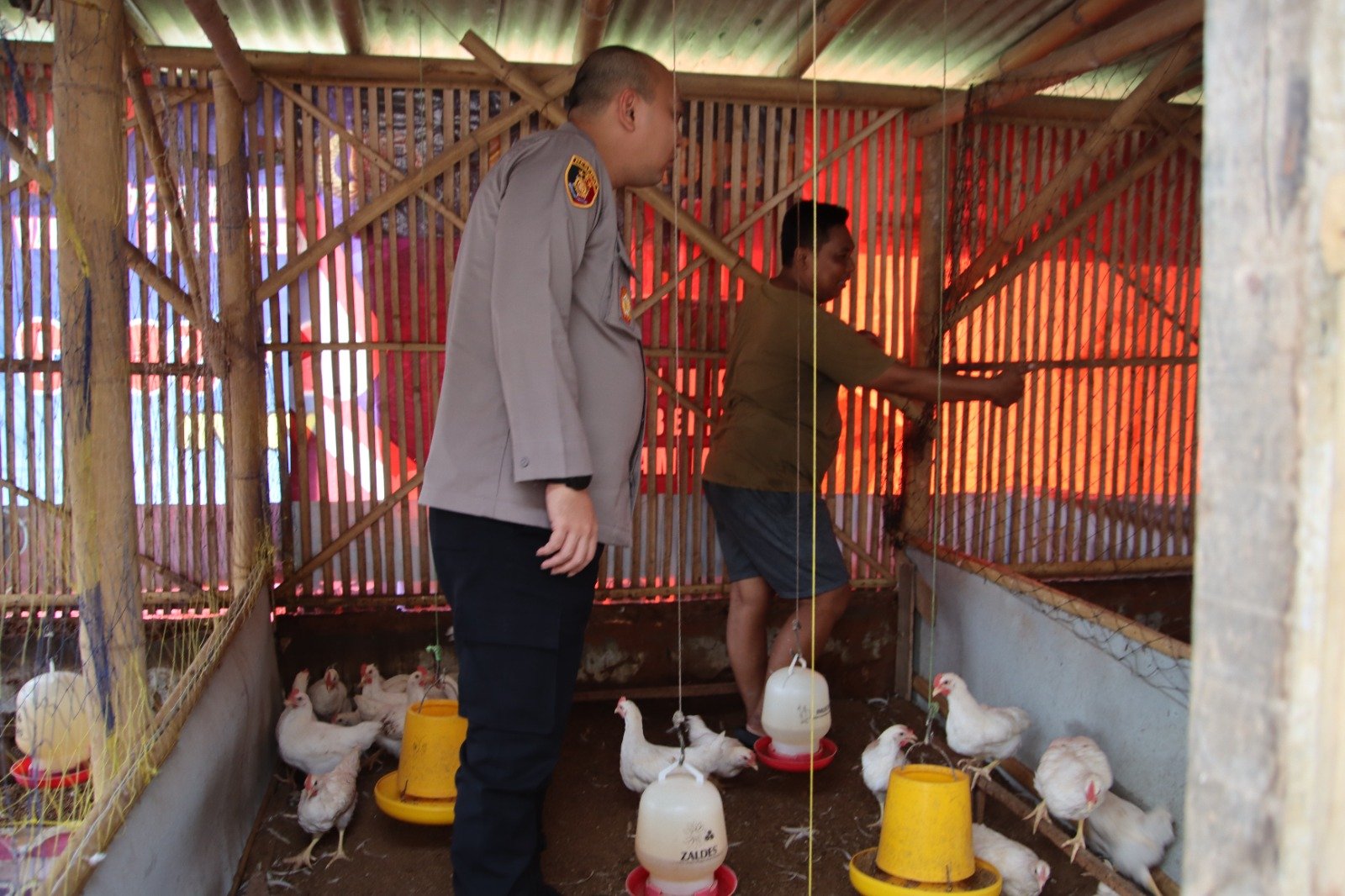 WhatsApp Image 2025 04 18 at 16.44.53 72f9bf86