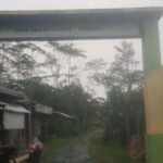 WhatsApp Image 2025 04 18 at 17.44.09 d6cd2f0d