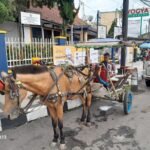 Dilupakan di Tengah Hiruk Pikuk Kota, Ini Jeritan Hati Kusir Delman Sukabumi WhatsApp Image 2025 04 25 at 15.32.35 0e5a1028