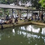 Pemancingan Kang Ai Surga Kecil Bagi Pecinta Mancing di Bogor Selatan WhatsApp Image 2025 04 30 at 16.11.40 584d195d