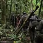Drama di Tengah Hutan Papua: Anggota Brimob Disengat Lebah Saat Cari Iptu Tomi, Dievakuasi dalam Kondisi Kritis operasi pencarian mantan kasat reskrim polres teluk bintuni iptu marbun di dalam hutan 1745903314823 169
