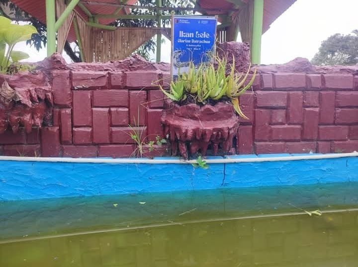 Menanam Harapan, Memelihara Kehidupan Proyek Edukatif Siswa SDN 2 Purabaya Lewat Buah Naga dan Lele 3 WhatsApp Image 2025 06 02 at 10.35.53 fdb1b0ca