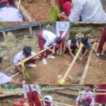 Menanam Harapan, Memelihara Kehidupan Proyek Edukatif Siswa SDN 2 Purabaya Lewat Buah Naga dan Lele WhatsApp Image 2025 06 02 at 10.48.20 6fc71e8b