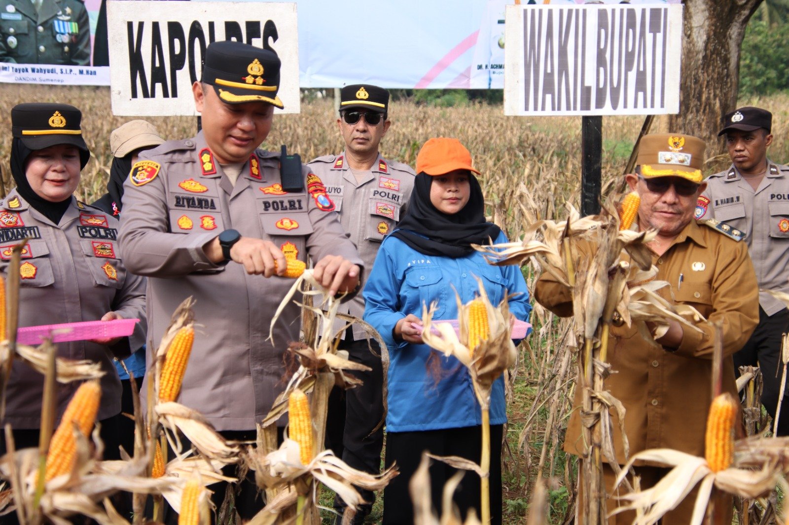 Polres Sumenep Gelar Panen Raya Jagung Serentak Dukung Ketahanan Pangan Nasional 1 WhatsApp Image 2025 06 07 at 17.56.11 211348b9