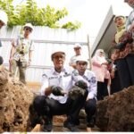 WhatsApp Image 2025 07 01 at 20.37.04 c93bd225