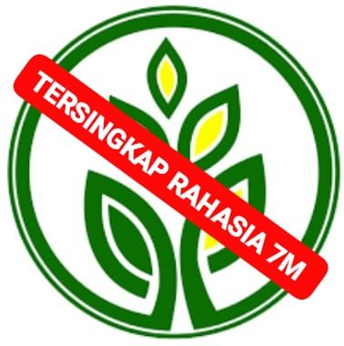 WhatsApp Image 2025 07 04 at 11.20.52 886f9b05