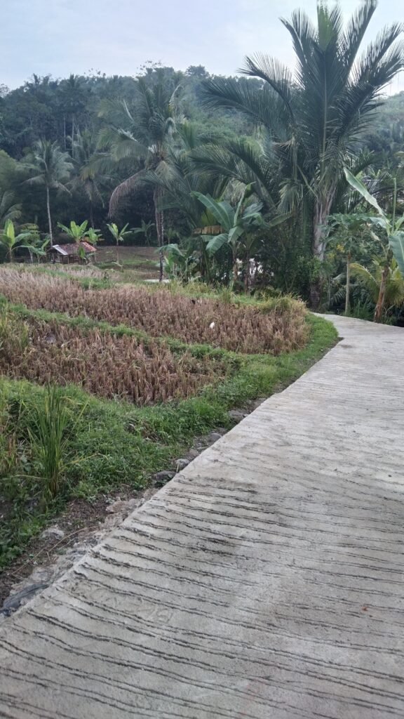 Dana Ketahanan Pangan Diduga Diselewengkan, Kades Cicareuh Malah Ajak Wartawan Ngopi 2 WhatsApp Image 2025 07 18 at 09.09.49 e64e41fb