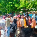 WhatsApp Image 2025 09 01 at 13.50.09 6313e321