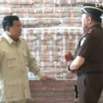 WhatsApp Image 2025 10 20 at 18.53.26