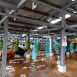 WhatsApp Image 2025 10 27 at 20.11.10 1