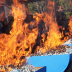 Screenshot 2025 11 10 201619