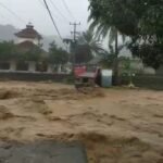 WhatsApp Image 2025 11 01 at 12.44.16 1