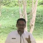 WhatsApp Image 2025 11 26 at 16.09.31