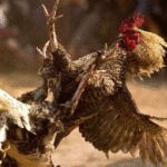 Screenshot 2025 12 02 182201