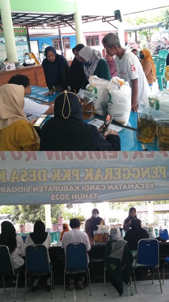 WhatsApp Image 2025 12 22 at 15.45.53 1