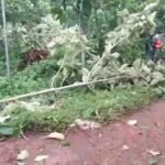 WhatsApp Image 2025 12 23 at 7.42.58 AM