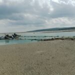 WhatsApp Image 2025 12 24 at 11.53.38 AM