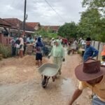 WhatsApp Image 2026 01 12 at 16.39.31