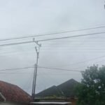 WhatsApp Image 2026 01 17 at 11.11.16 1