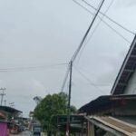 WhatsApp Image 2026 01 22 at 09.41.04