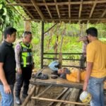 WhatsApp Image 2026 02 27 at 04.32.56