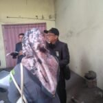 WhatsApp Image 2026 03 12 at 2.45.44 PM