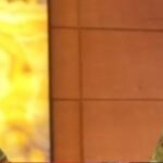 WhatsApp Image 2026 03 26 at 8.51.32 PM