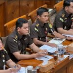 WhatsApp Image 2026 04 03 at 9.51.06 PM