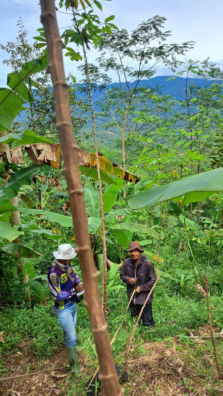 KETUA DPD JWI SUKABUMI RAYA TUNTUT AUDIT TOTAL PTPN: "9.000 HEKTAR HGU MATI, NEGARA DIRAMPOK, RAKYAT DIZALIMI " 1 WhatsApp Image 2026 04 12 at 1.20.15 PM