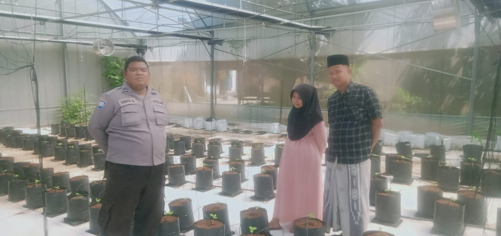 Polsek Batang-Batang Dukung Ketahanan Pangan Nasional Melalui Pemantauan Budidaya Melon Pertiwi 1 WhatsApp Image 2026 06 13 at 11.23.08 1