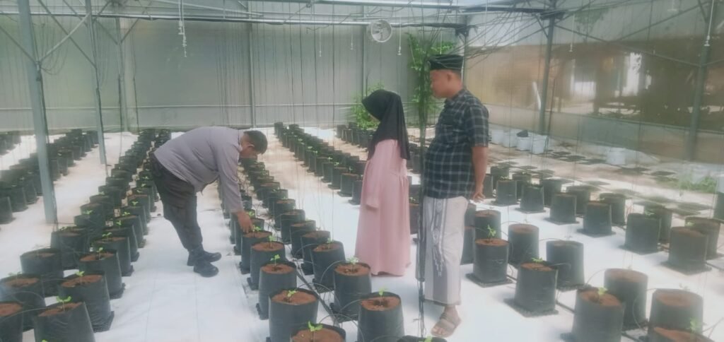 Polsek Batang-Batang Dukung Ketahanan Pangan Nasional Melalui Pemantauan Budidaya Melon Pertiwi 2 WhatsApp Image 2026 06 13 at 11.23.08