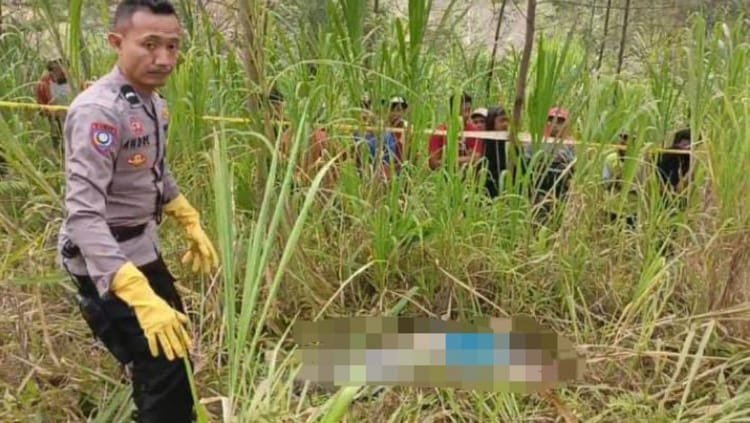 Pencari Rumput Ditemukan Tewas Penuh Luka di Hutan Sumber Probolinggo 1 WhatsApp Image 2026 09 29 at 11.47.17 AM